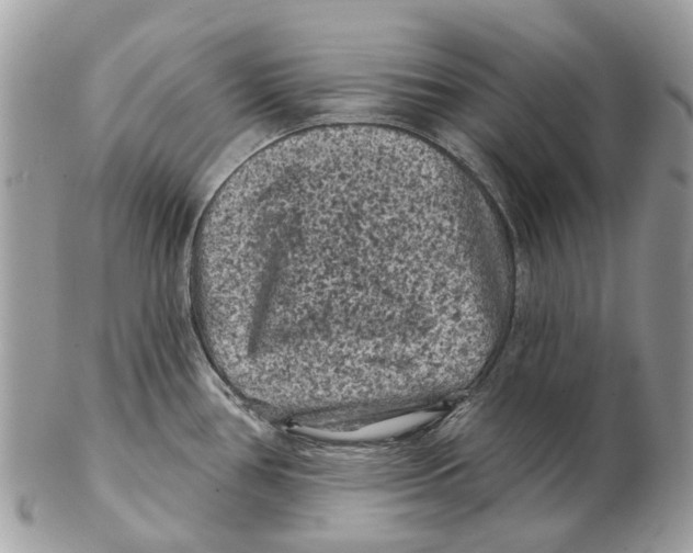X0000102461386200809051300