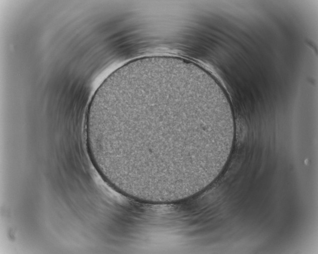 X0000102461387200809051300