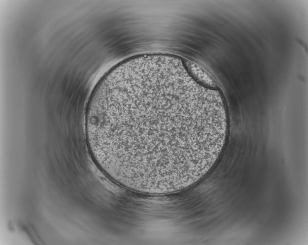 X0000102461388200809051300