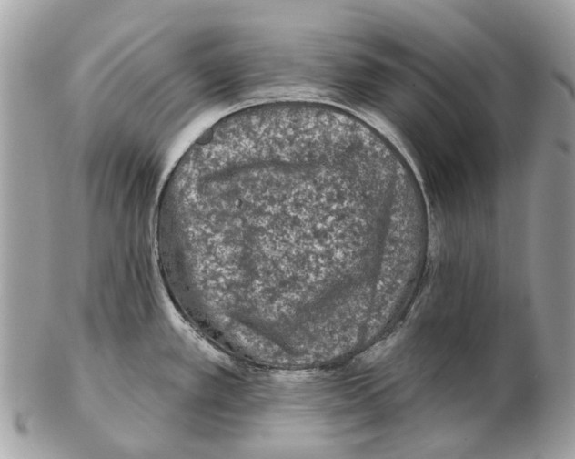 X0000102461389200809051300