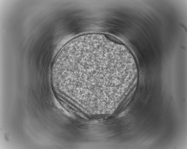 X0000102461390200809051300