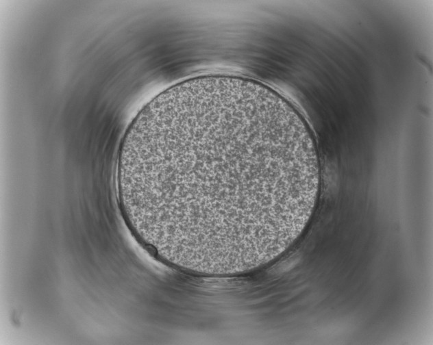X0000102461391200809051300