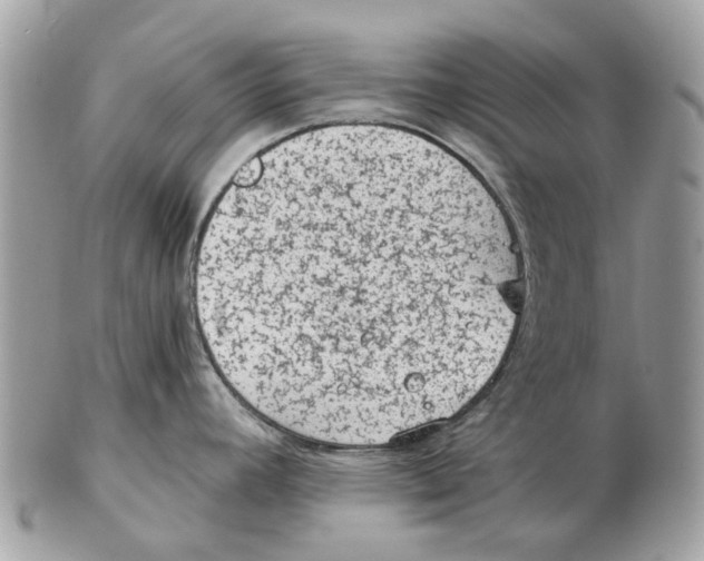X0000102461392200809051300