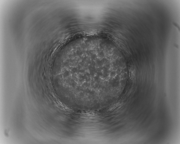 X0000102461393200809051259