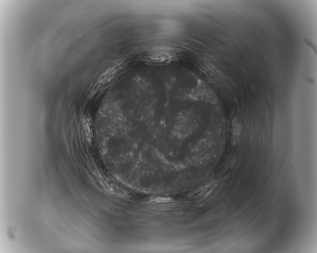 X0000102461394200809051259