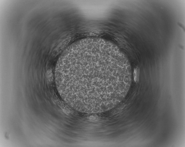 X0000102461395200809051259