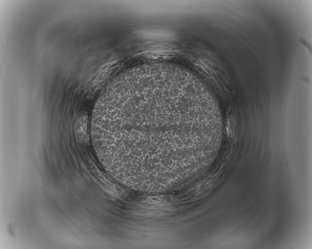 X0000102461396200809051259