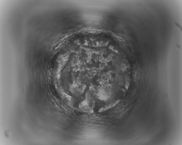 X0000102461397200809051259