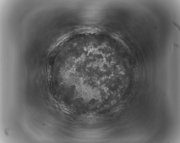 X0000102461399200809051259