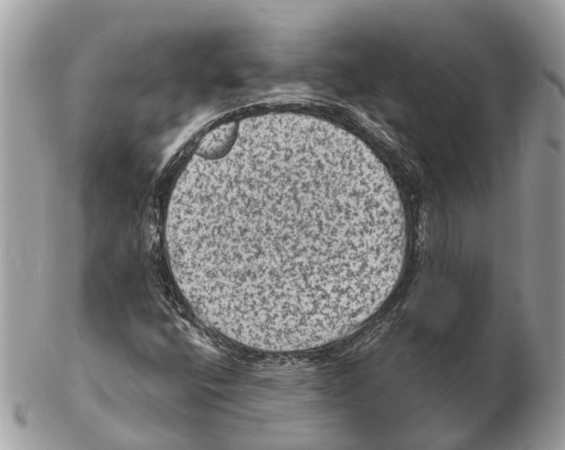 X0000102461400200809051259