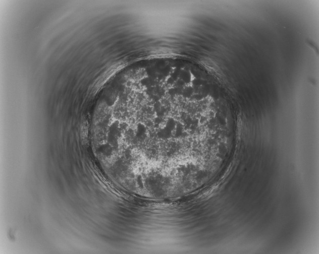 X0000102461401200809051259
