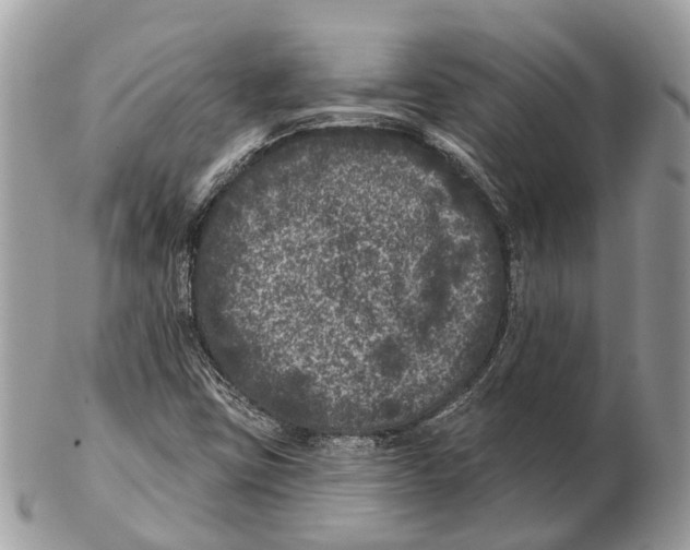 X0000102461403200809051259