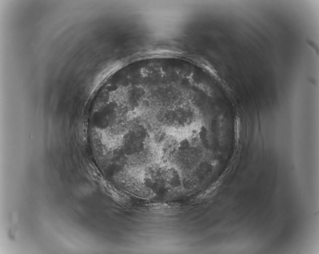 X0000102461405200809051259