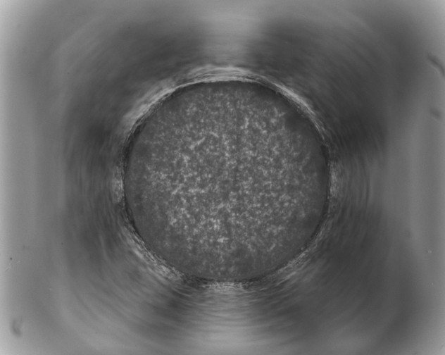 X0000102461407200809051259