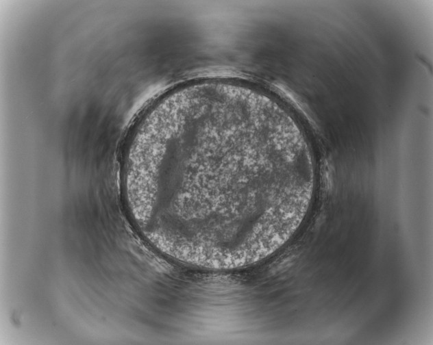 X0000102461408200809051259