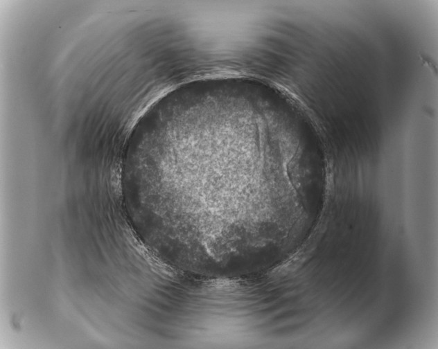 X0000102461409200809051259