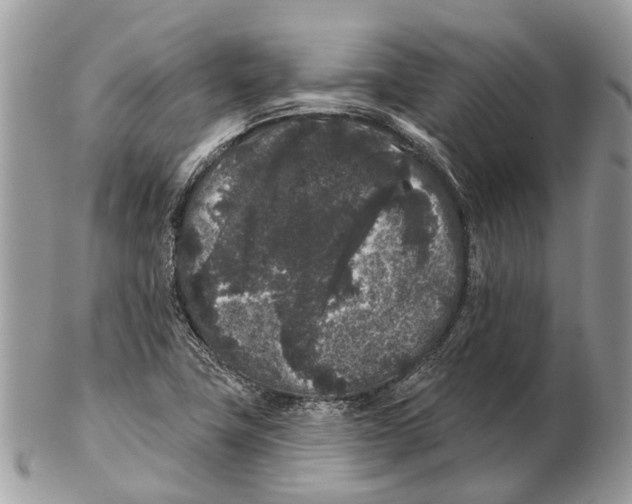 X0000102461411200809051259