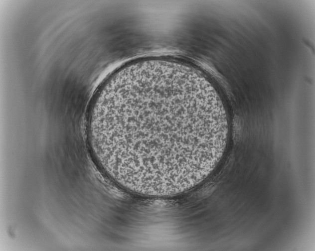 X0000102461412200809051259