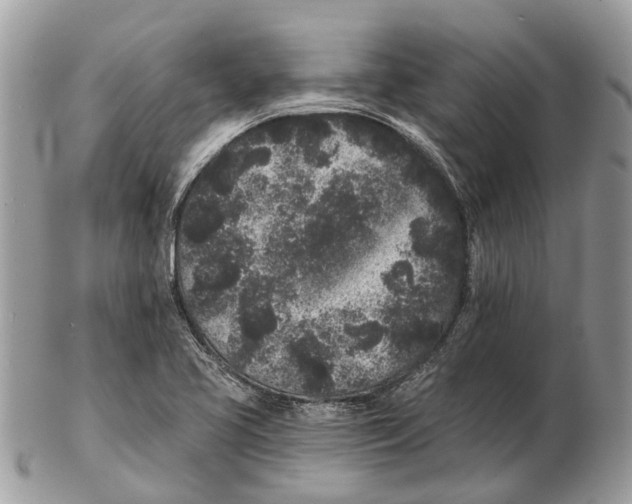 X0000102461413200809051259