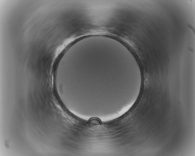 X0000102461414200809051259