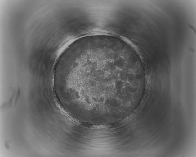 X0000102461415200809051259