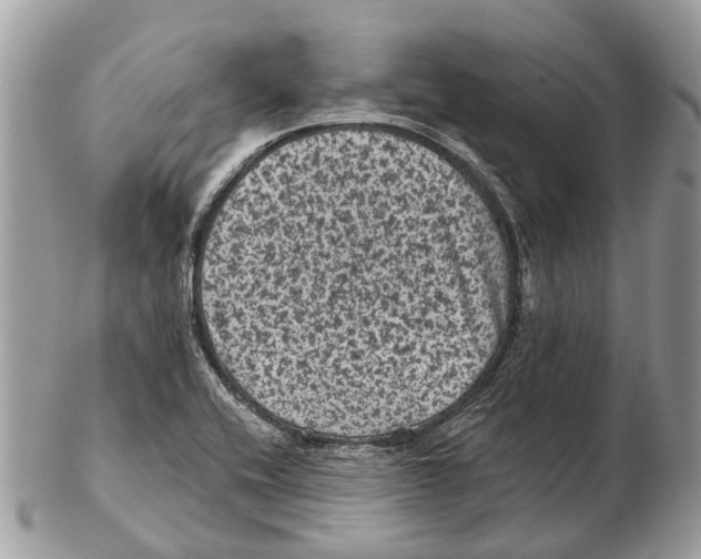 X0000102461416200809051259