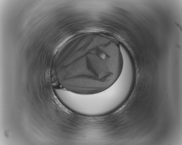 X0000102461417200809051259