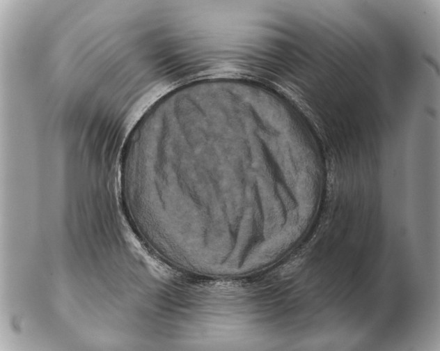 X0000102461418200809051259