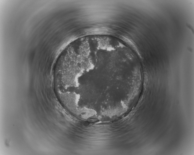 X0000102461419200809051259
