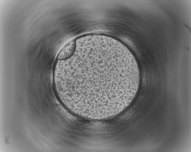 X0000102461420200809051259
