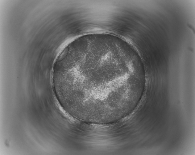 X0000102461421200809051259