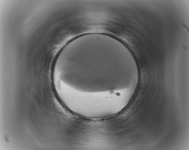 X0000102461422200809051259