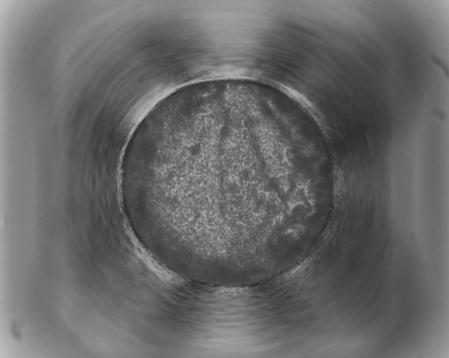X0000102461423200809051259
