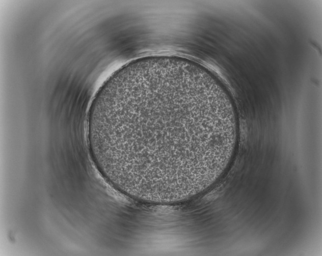 X0000102461424200809051259