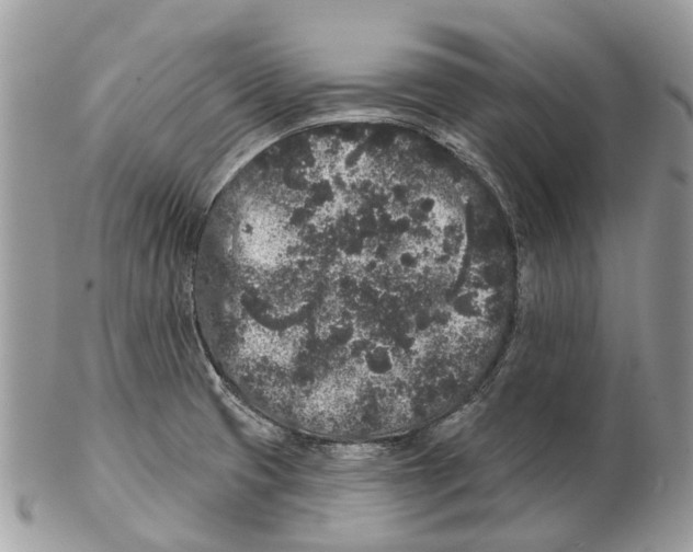 X0000102461425200809051259