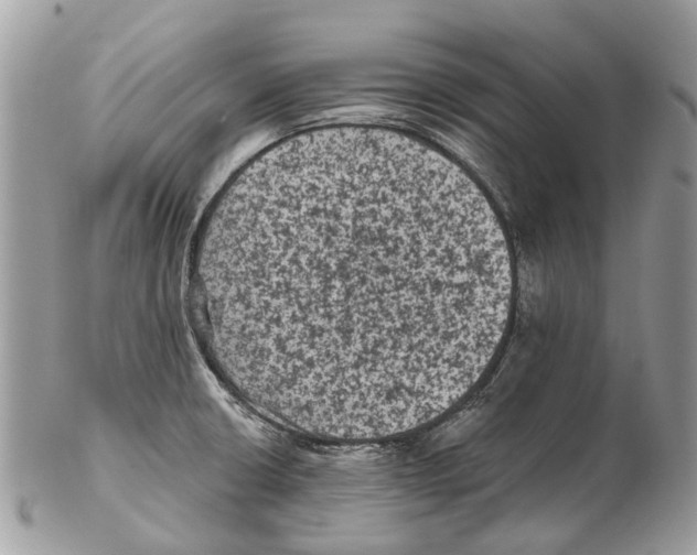 X0000102461426200809051259