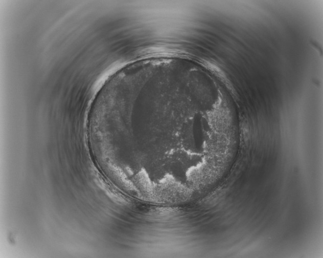 X0000102461427200809051259