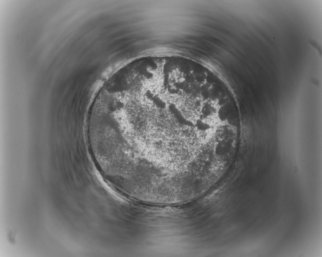 X0000102461429200809051259