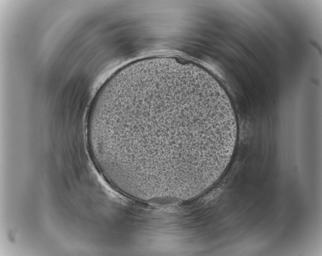 X0000102461430200809051259