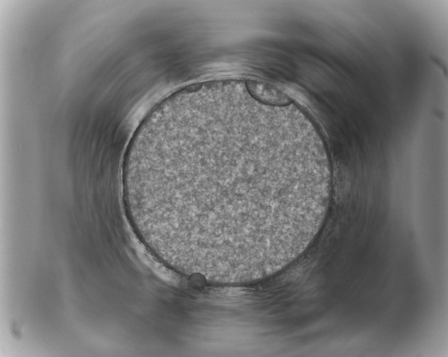 X0000102461431200809051259