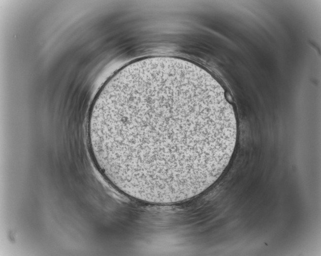 X0000102461432200809051300