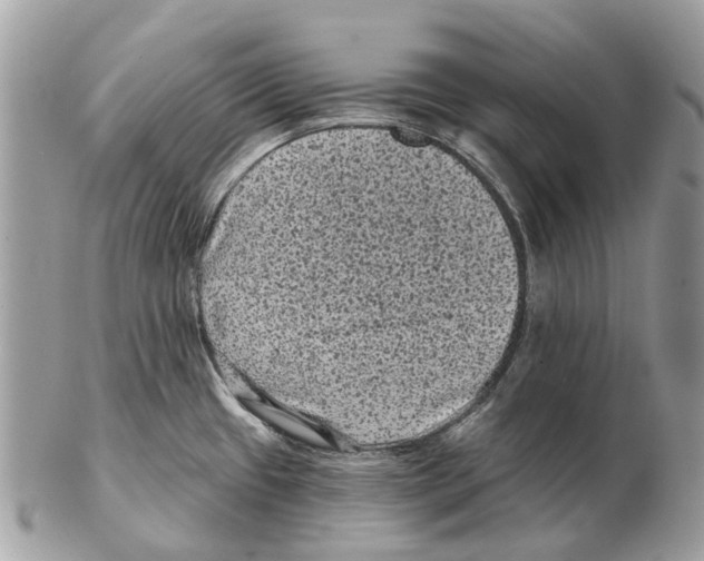 X0000102461433200809051300