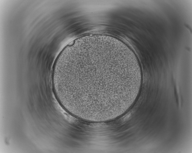 X0000102461434200809051300