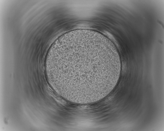 X0000102461435200809051300