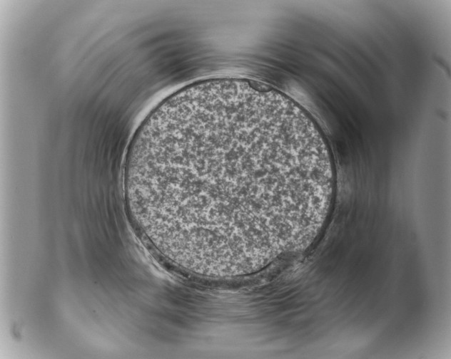 X0000102461436200809051300