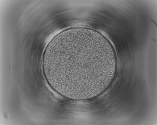 X0000102461437200809051300