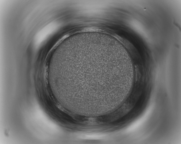 X0000102461438200809051300