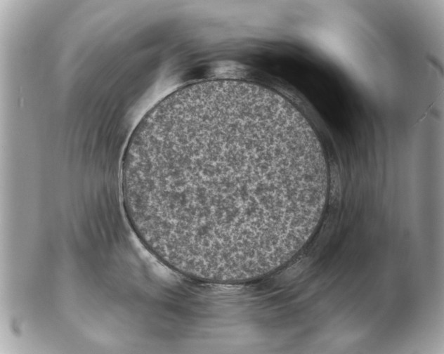 X0000102461439200809051300