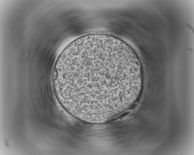 X0000102461440200809051300