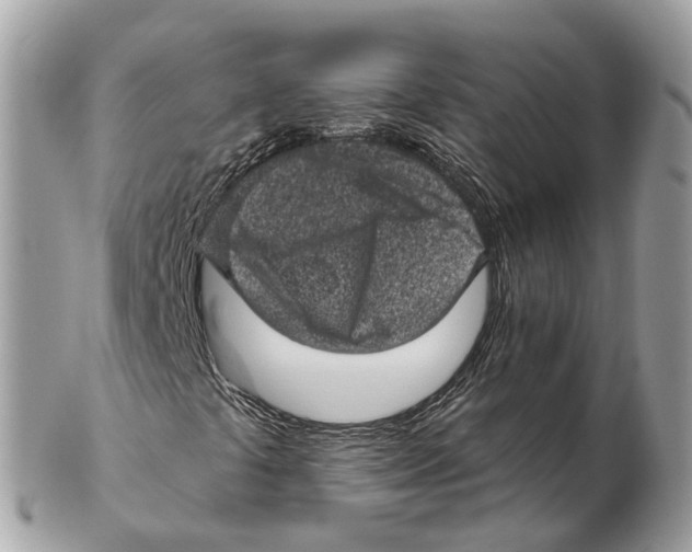 X0000102461441200809051259